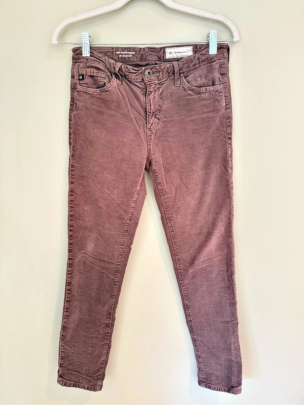 AG x Anthropologie The Stevie Ankle Slim Straight Pants Size 27